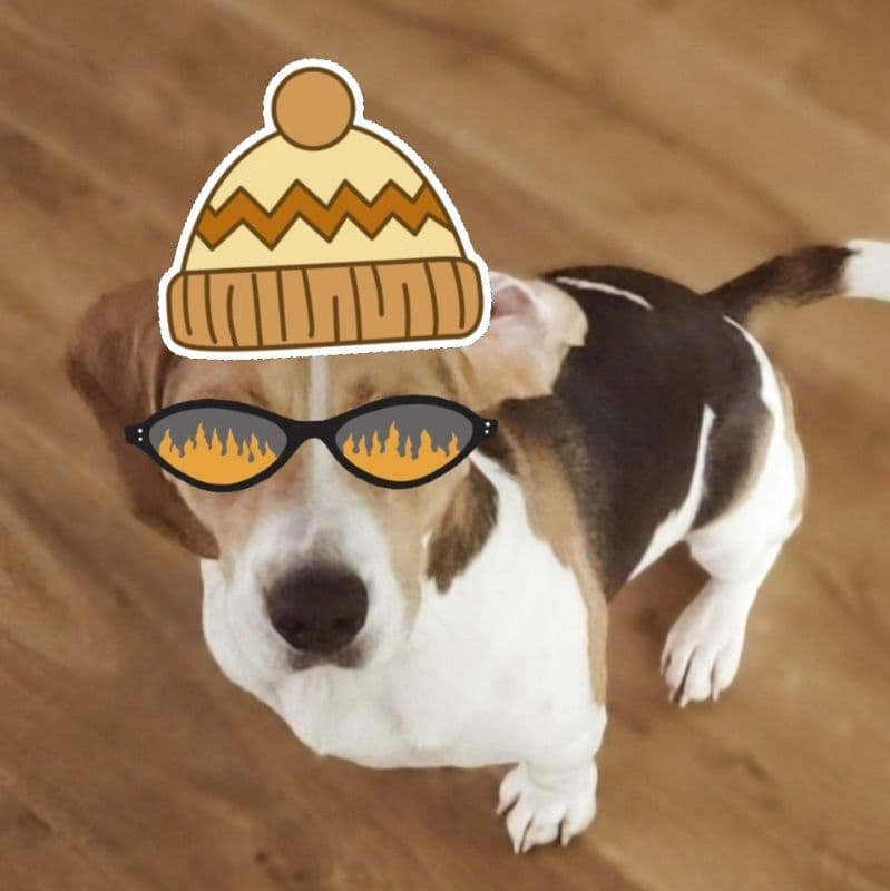 Beagle Logo